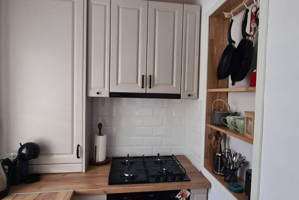 Warm And Cozy Studio Flat Near Straja Uricani  Экстерьер фото