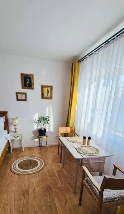 Warm And Cozy Studio Flat Near Straja Uricani  Экстерьер фото
