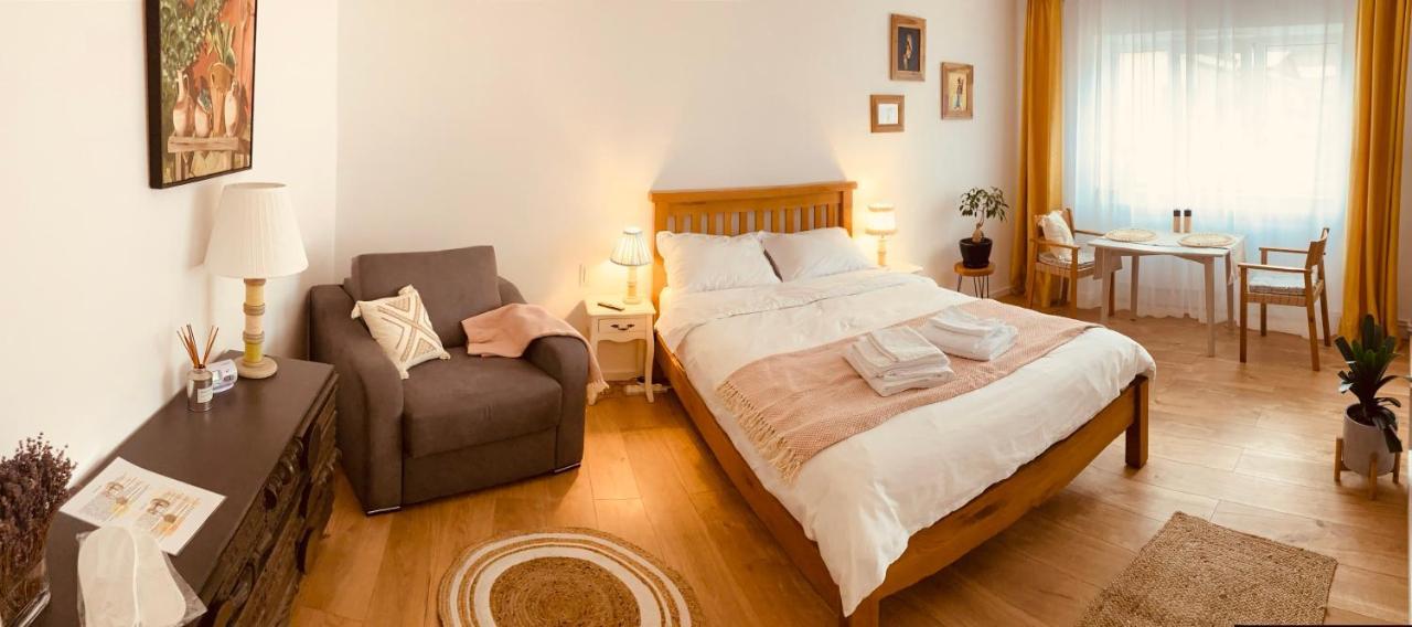 Warm And Cozy Studio Flat Near Straja Uricani  Экстерьер фото