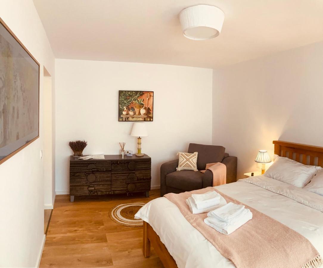 Warm And Cozy Studio Flat Near Straja Uricani  Экстерьер фото
